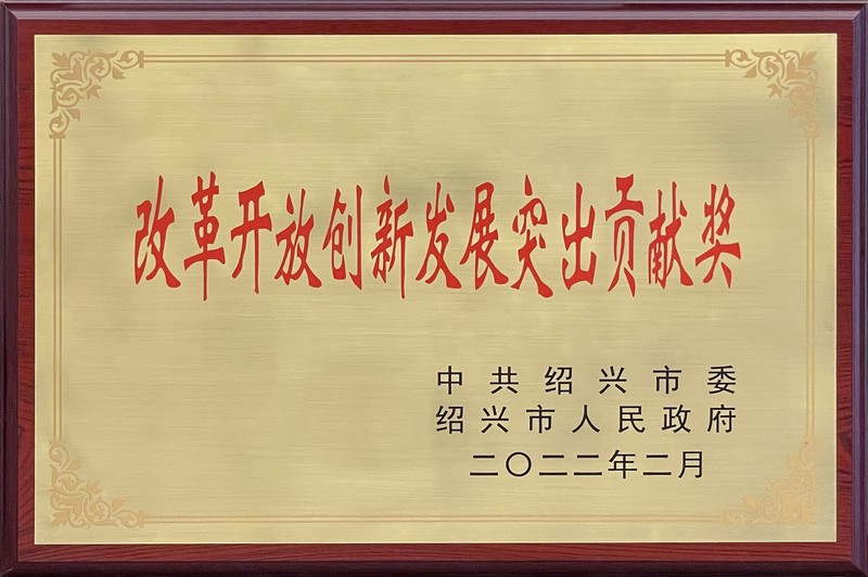 2021年度“改革開放創(chuàng)新發(fā)展突出貢獻(xiàn)獎(jiǎng)”.jpg